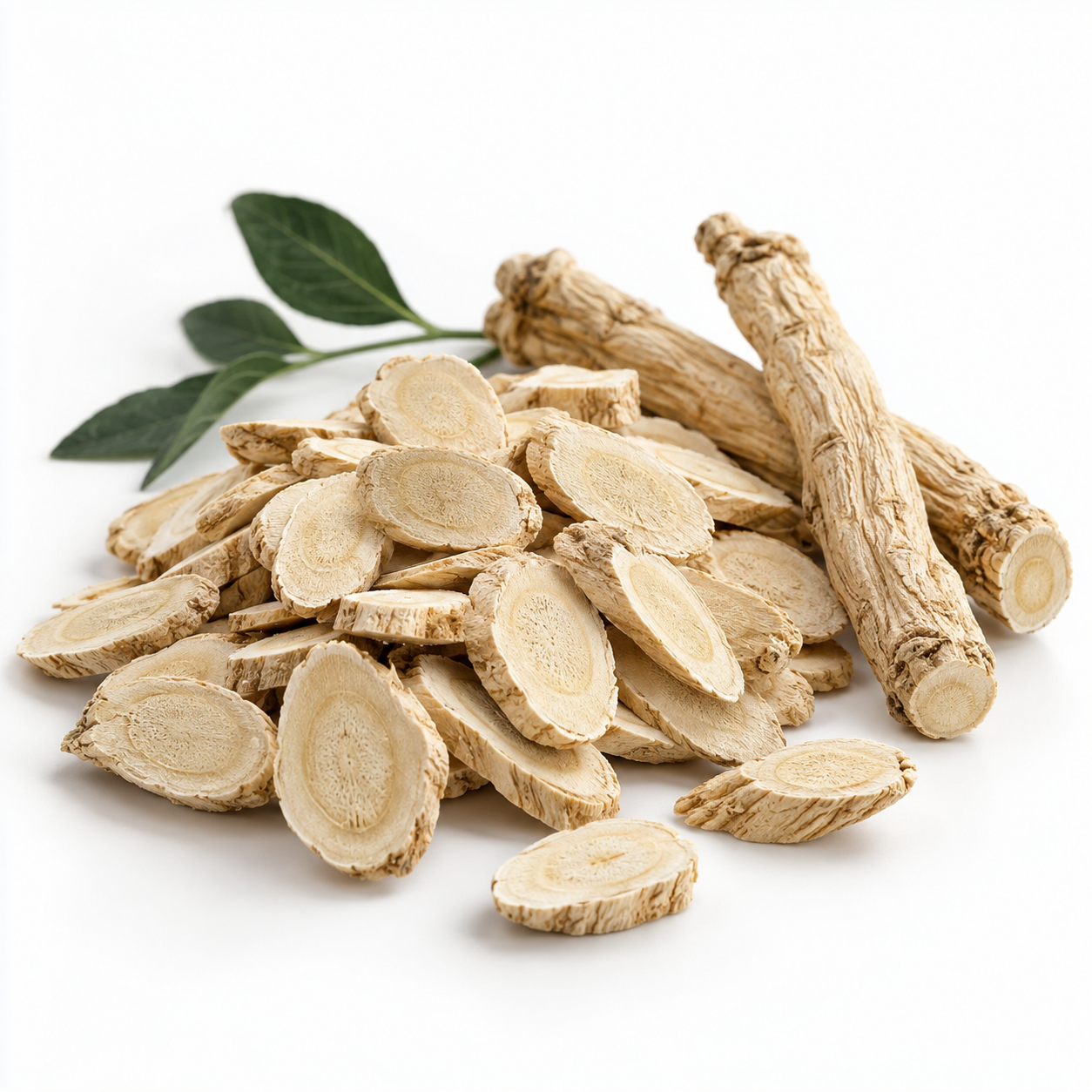 Dried astragalus slices and roots on a white background