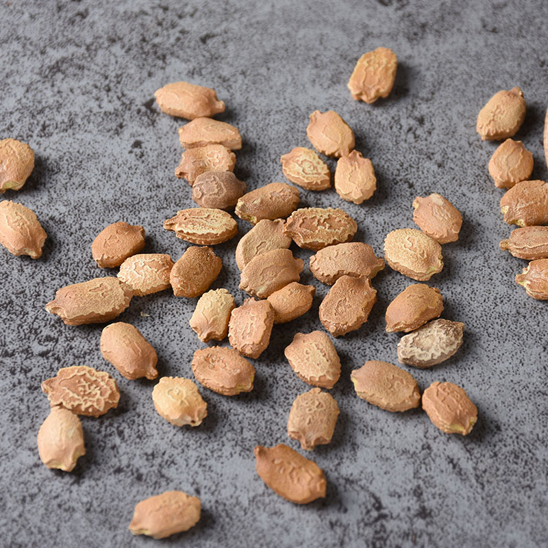 Bitter Melon Seeds (Momordica charantia) — Dried Food-Herb Seeds, Clean & Sulfur-Free - Image 4