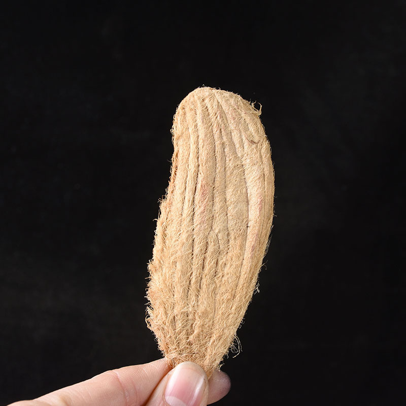 Mango Seed Kernel (Mangifera indica) — Dried Food Herb, Sulfur-Free, 500g - Image 2