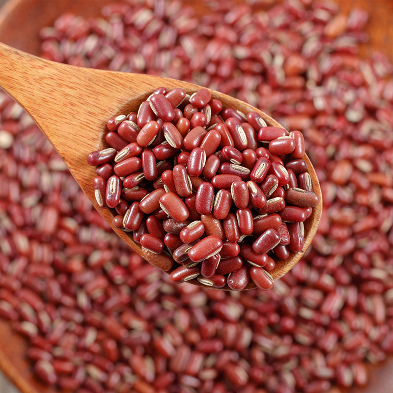 Chi Xiao Dou (Vigna umbellata) — Dried Red Adzuki Beans, Food-Herb Grain for Soup & Congee - Image 3