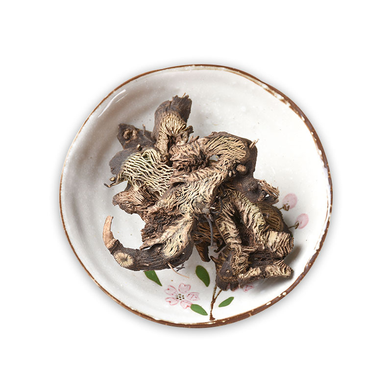 Sheng Ma Root (Cimicifuga dahurica) — Northeast-Grown Dried Herb, Unsulfured New Crop - Image 5