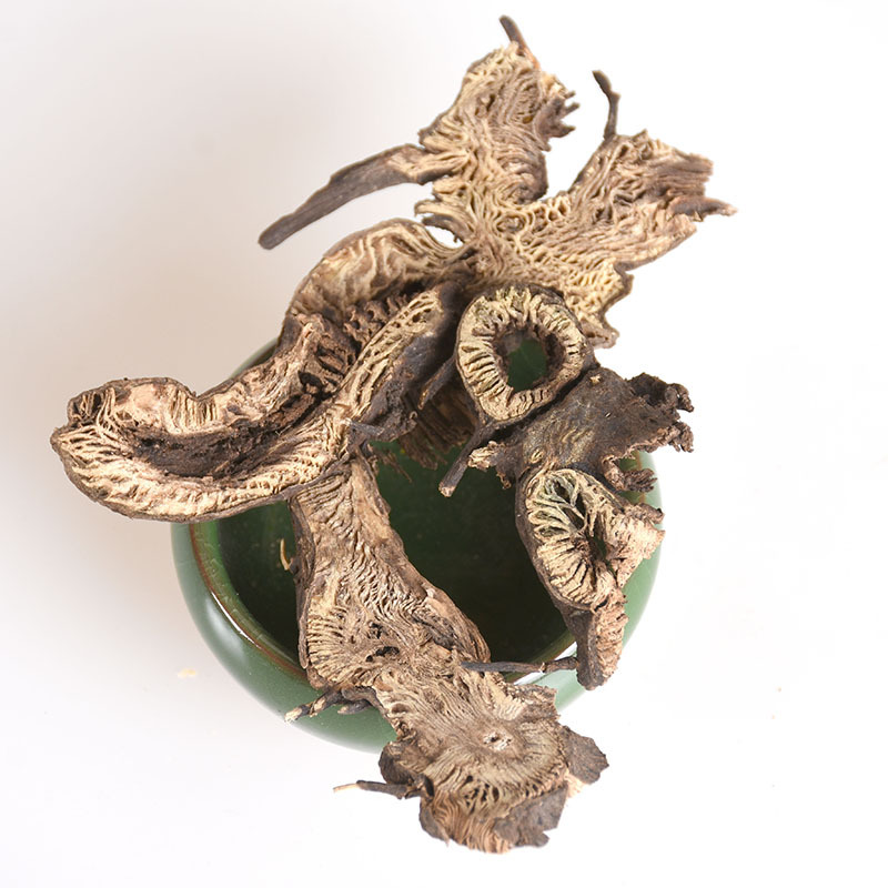 Sheng Ma Root (Cimicifuga dahurica) — Northeast-Grown Dried Herb, Unsulfured New Crop - Image 4