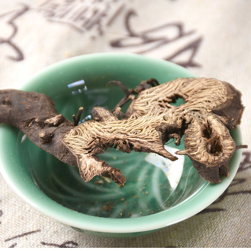 Sheng Ma Root (Cimicifuga dahurica) — Northeast-Grown Dried Herb, Unsulfured New Crop - Image 3