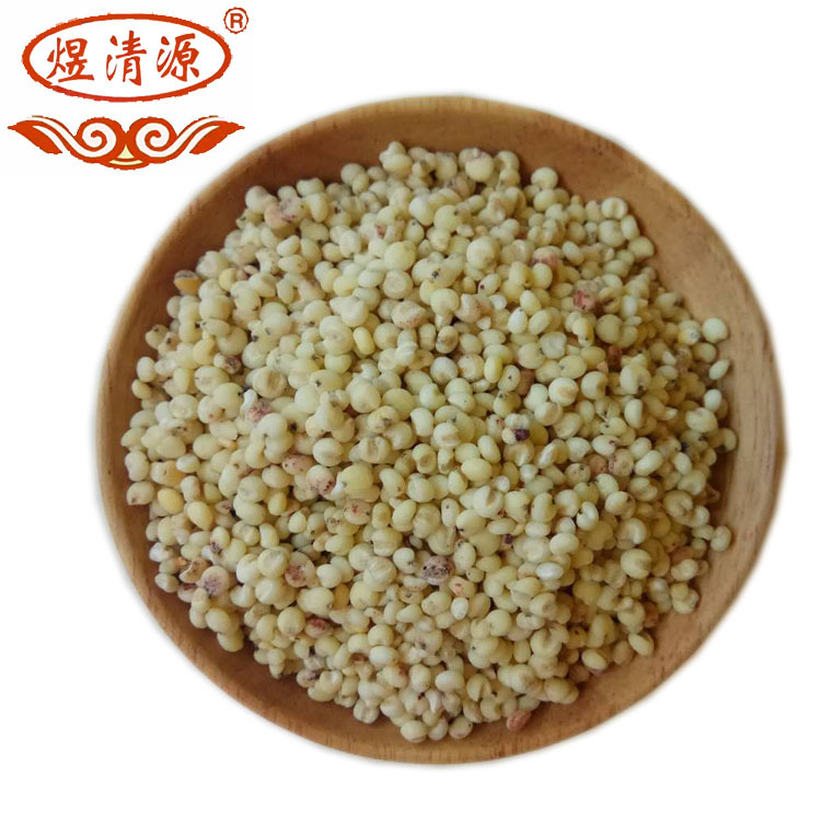Low Temperature Baked Sorghum Millet Grain for Soy Milk and Congee - Image 5