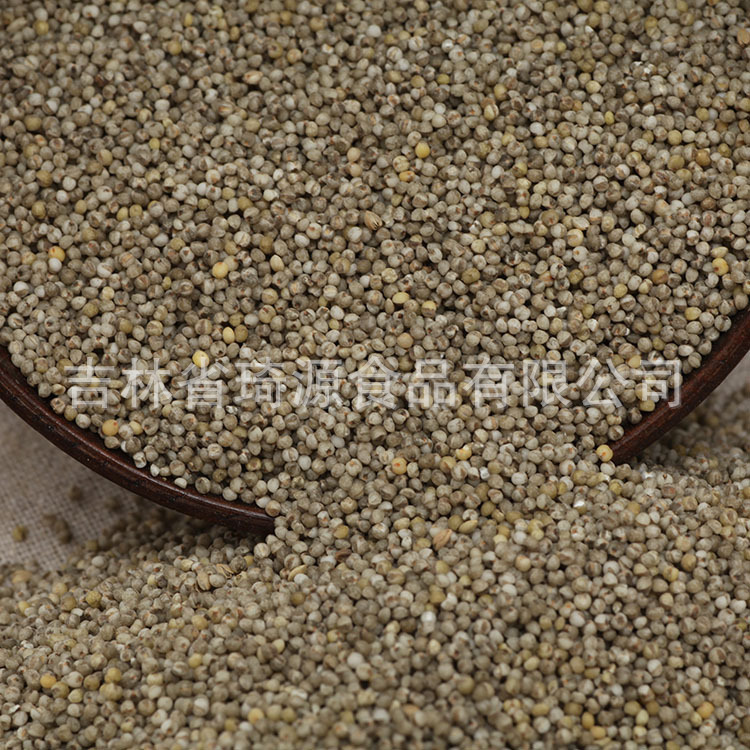 Low Temperature Roasted Black Millet Whole Grain for Congee and Soup - Image 4