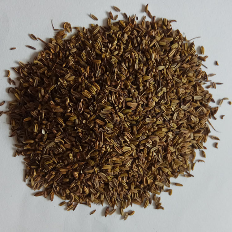 Roasted Fennel Seeds Hui Xiang Zi Low Temperature Baked Culinary Spice - Image 2