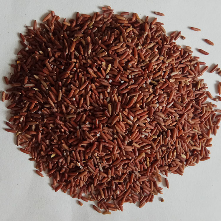 Low Temperature Roasted Red Rice Whole Grain for Five Grain Soy Milk and Congee - Image 2