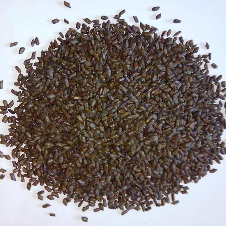 Dried Cassia Seed Jue Ming Zi Low Temperature Baked 500g Loose Herbal Botanicals - Image 3