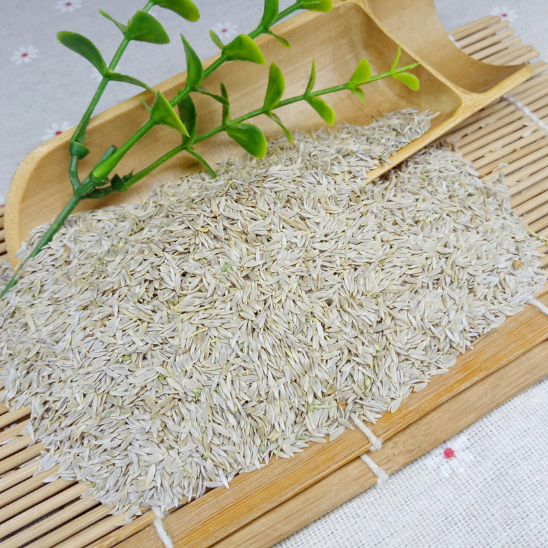 Lettuce Seed Bai Ju Sheng 500g Crushed Food Grade Herb from Anhui - Image 2