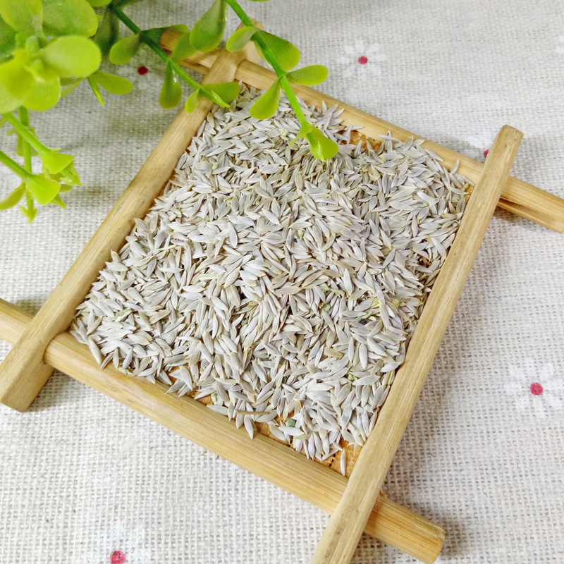 Lettuce Seed Bai Ju Sheng 500g Crushed Food Grade Herb from Anhui - Image 3