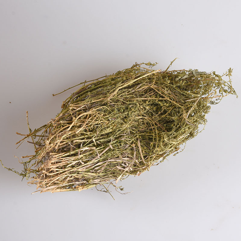 Bai Rui Cao (Thesium chinense) — Dried Whole Herb, New-Crop Clean Lot for Herbal Decoction - Image 3