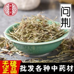Wen Jing (Equisetum arvense) — Dried Horsetail Herb, Sulfur-Free Bulk 500g