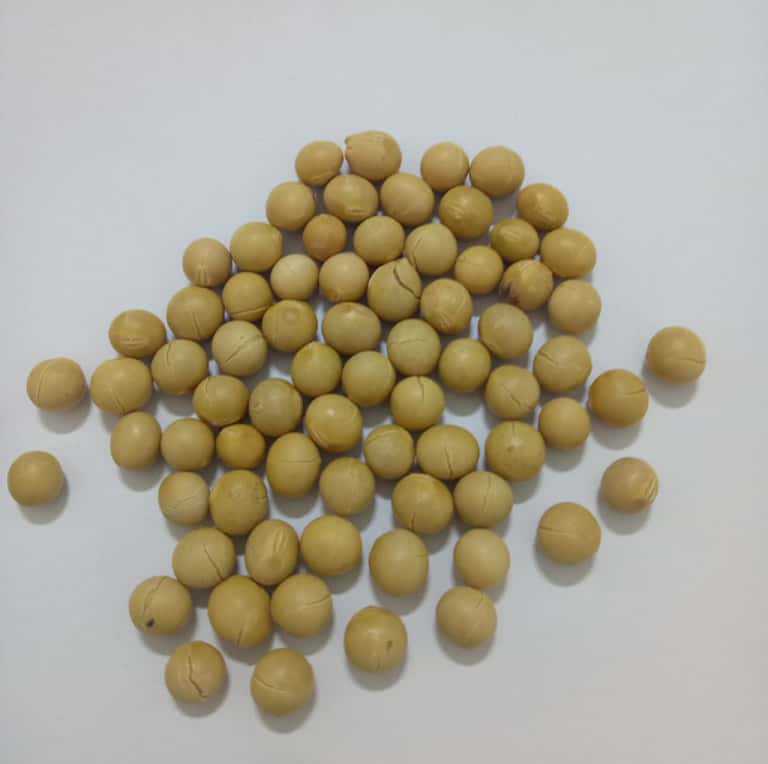 Roasted Soybeans Northeast China Specialty Ready to Eat Soybean Snack Bulk Wholesale - Image 4