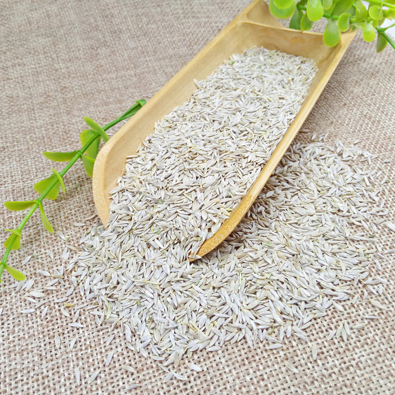 Lettuce Seed Bai Ju Sheng 500g Crushed Food Grade Herb from Anhui - Image 4
