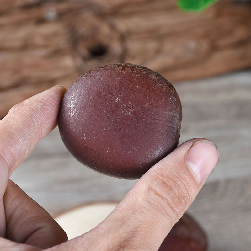 Yin Yang Zi (Mucuna sempervirens) — Dried Food Herb Seeds, Bulk 500g - Image 3