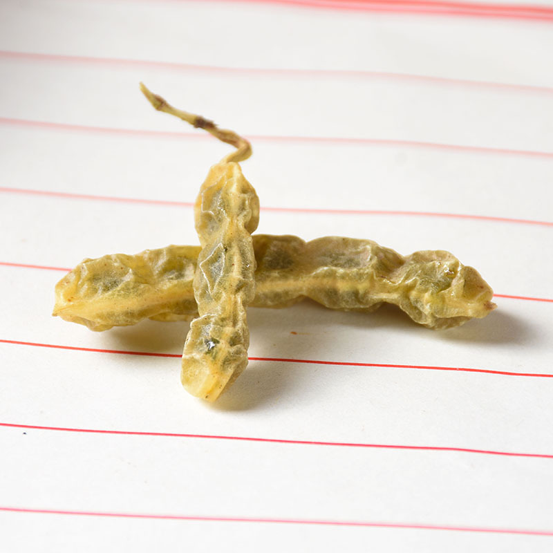 Huai Jiao Dou (Sophora japonica Seed) — Dried Sulfur-Free Food Herb, 500g - Image 2