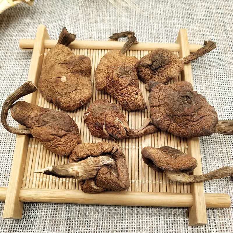 Dried Hazel Mushroom 500g Rootless Grade One Jilin Dried Mushroom for Chicken Stew - Image 3