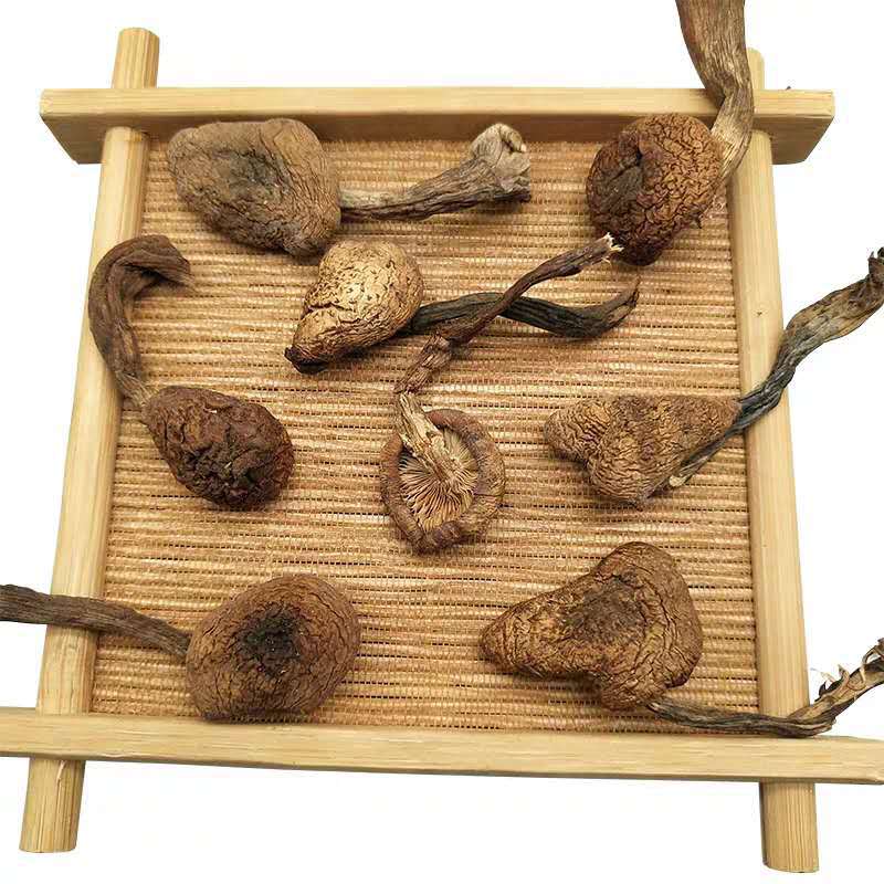 Dried Hazel Mushroom 500g Rootless Grade One Jilin Dried Mushroom for Chicken Stew - Image 5