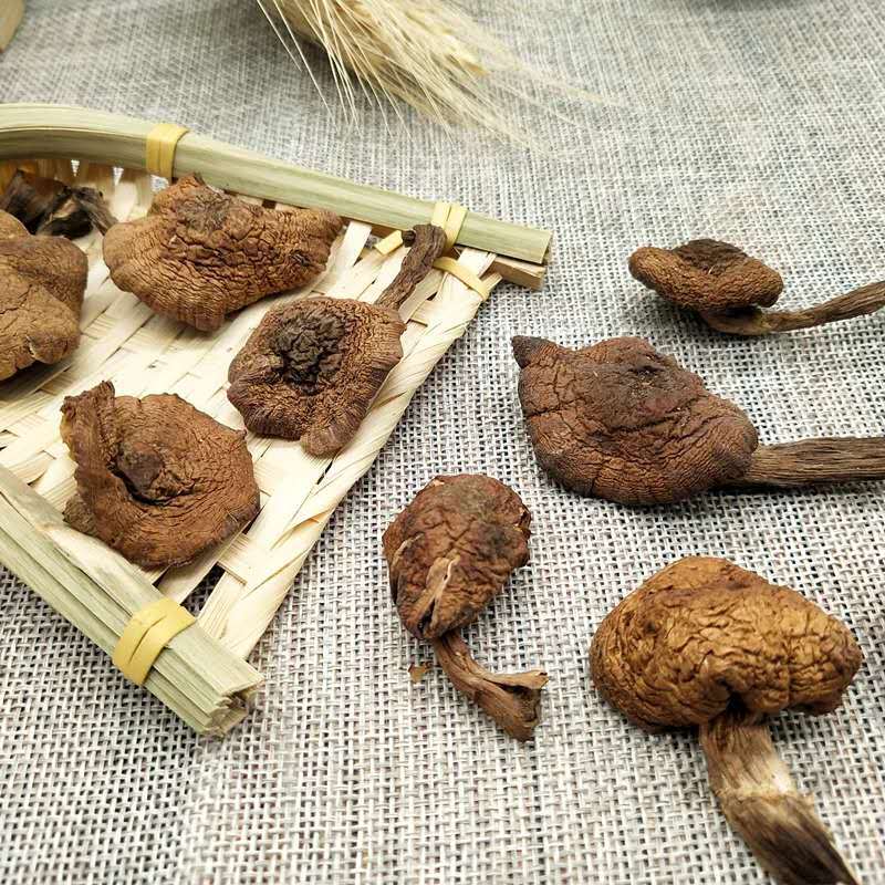 Dried Hazel Mushroom 500g Rootless Grade One Jilin Dried Mushroom for Chicken Stew - Image 2
