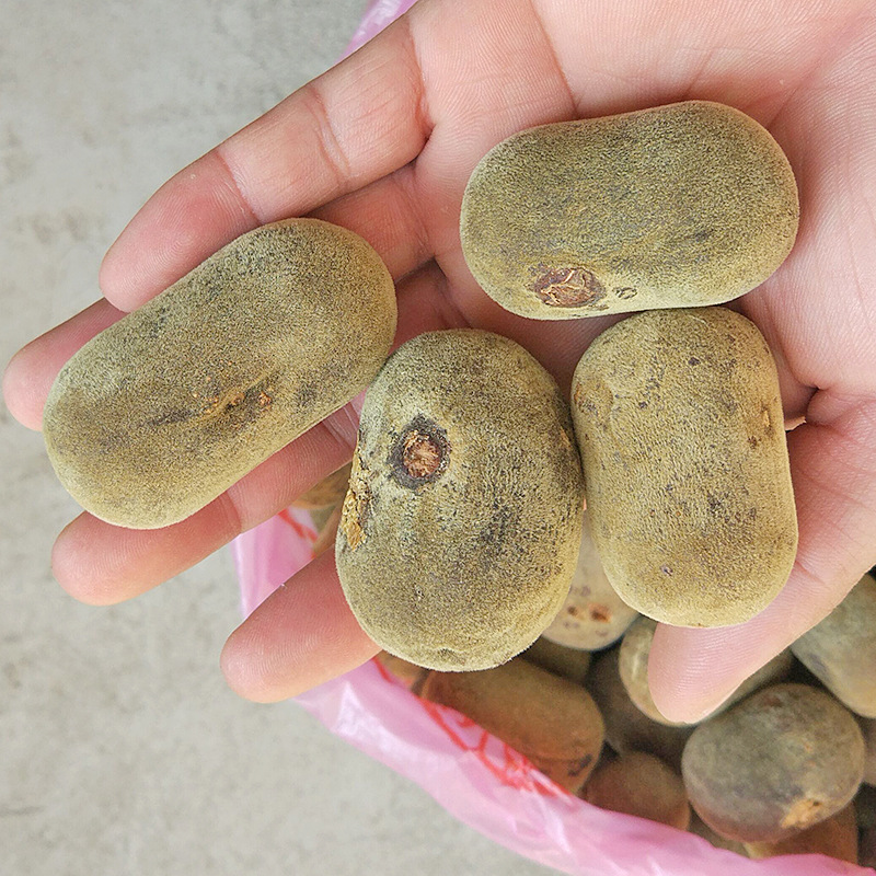 Aged Huazhou Tangerine Peel Slices Chen Pi Hua Zhou Ju Hong Citrus Grandis Traditional Herbal Tea 40g - Image 3
