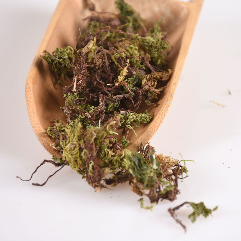 Hui Xin Cao (Rhodobryum roseum) — Dried Bulk Medicinal Herb, 500g - Image 3