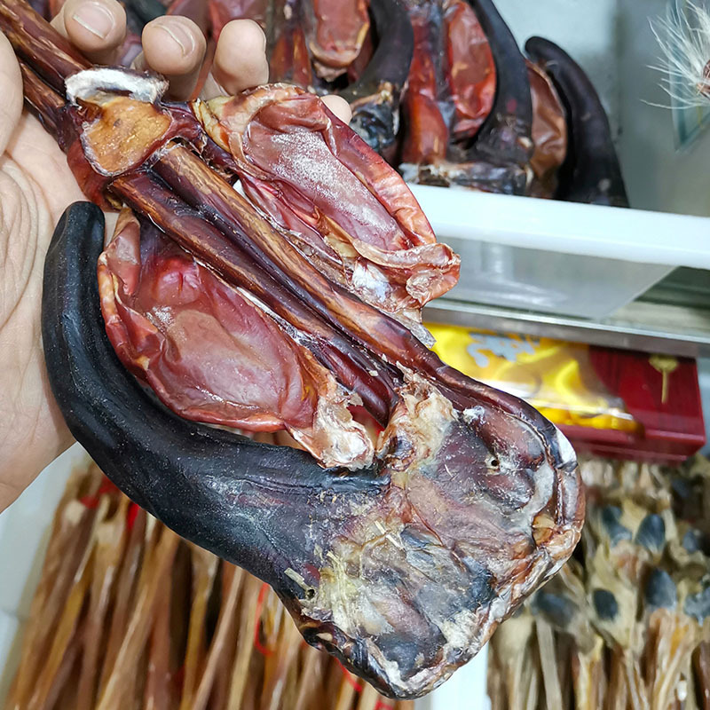 Deer Penis (Cervus elaphus) Whole Branch — Dried TCM Food Herb, Bulk Wholesale - Image 2