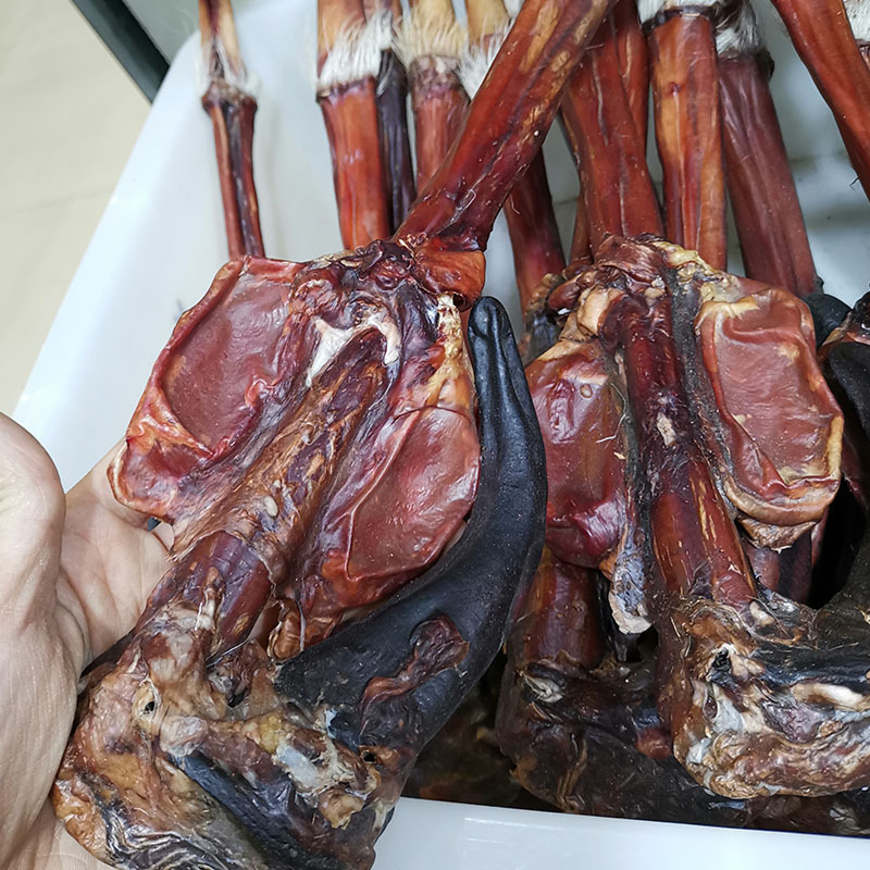 Deer Penis (Cervus elaphus) Whole Branch — Dried TCM Food Herb, Bulk Wholesale - Image 4