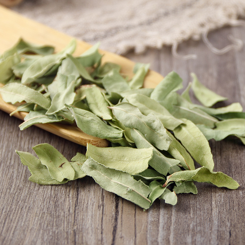 Luobuma Young Leaf & Bud (Apocynum venetum) — Xinjiang Dried Herbal Tea - Image 4