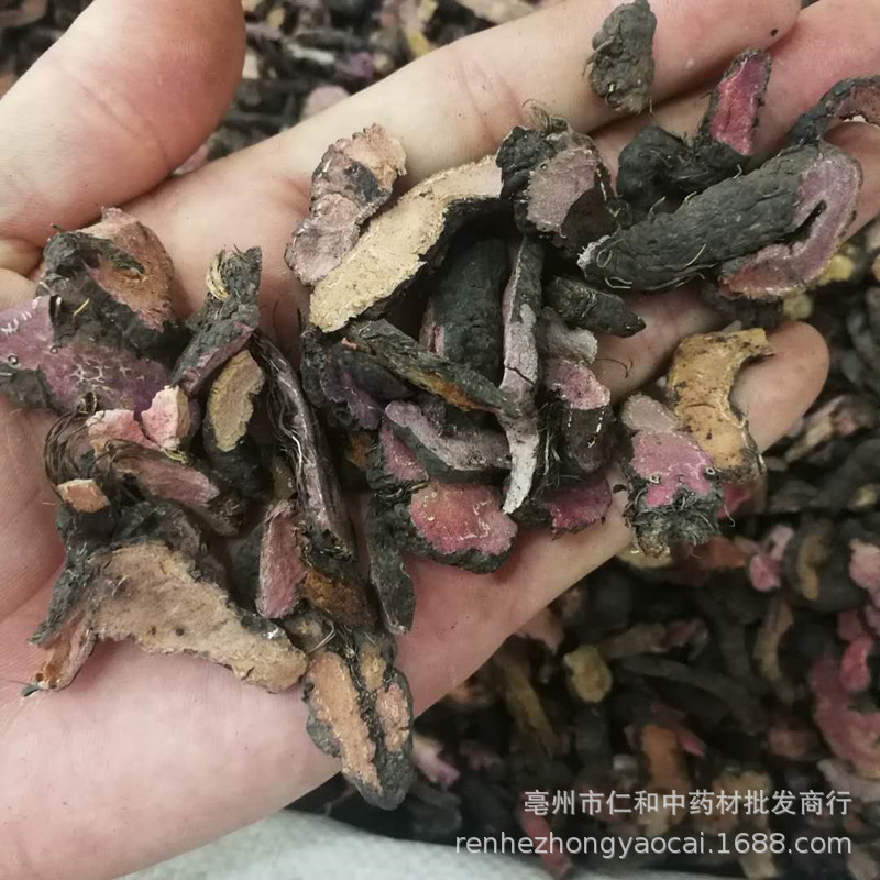 Bistorta Root Quan Shen 拳参 Dried Chinese Herbal Slices for Decoction and Culinary Use 500g - Image 2