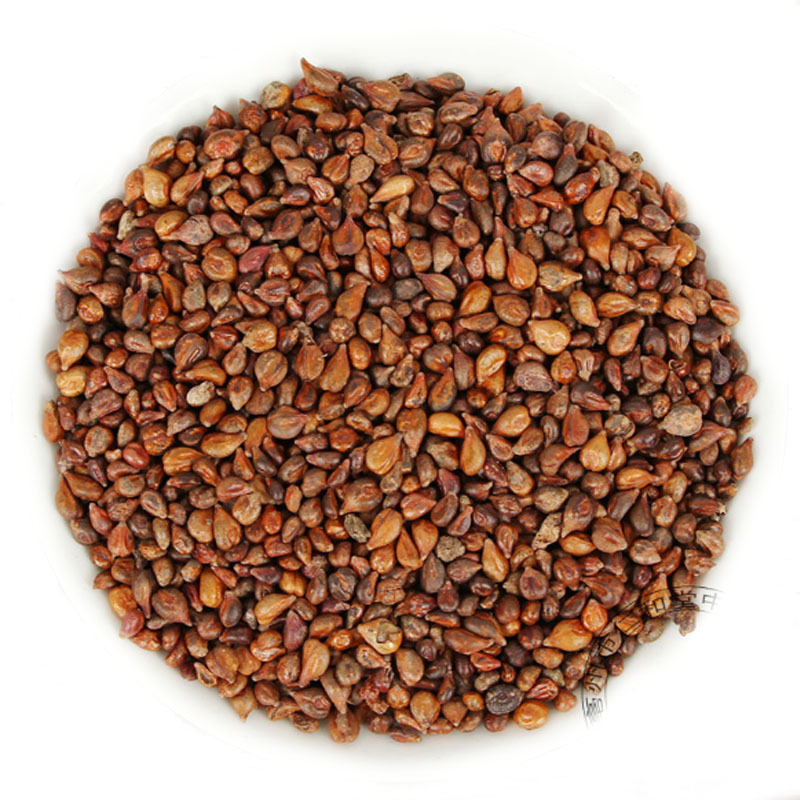 Grape Seed Whole Dried Seeds Pu Tao Zi Clean Sifted Bulk 500g for Herbal Tea and Decoction - Image 5