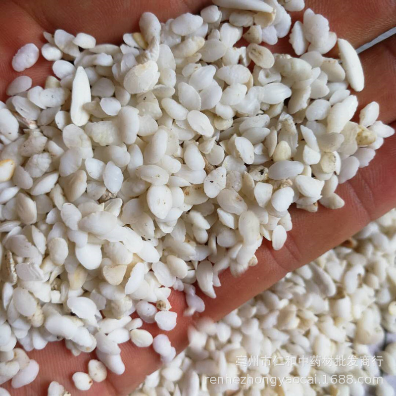 Fish Otolith Yu Nao Shi Dried Fish Ear Stone Raw Herb for Culinary and Traditional Use - Image 2