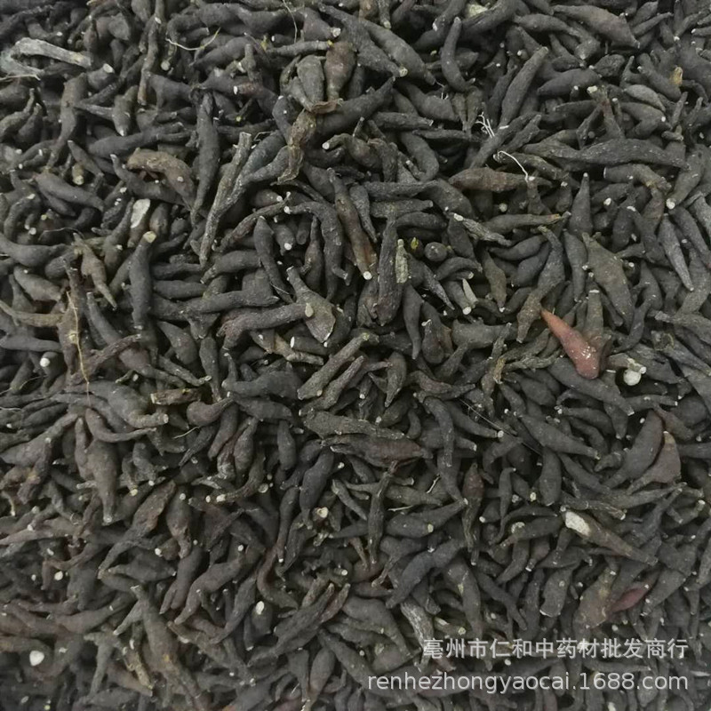 Dried Liang Tou Jian Root 500g Traditional Chinese Herb for Decoction and Herbal Soup - Image 3
