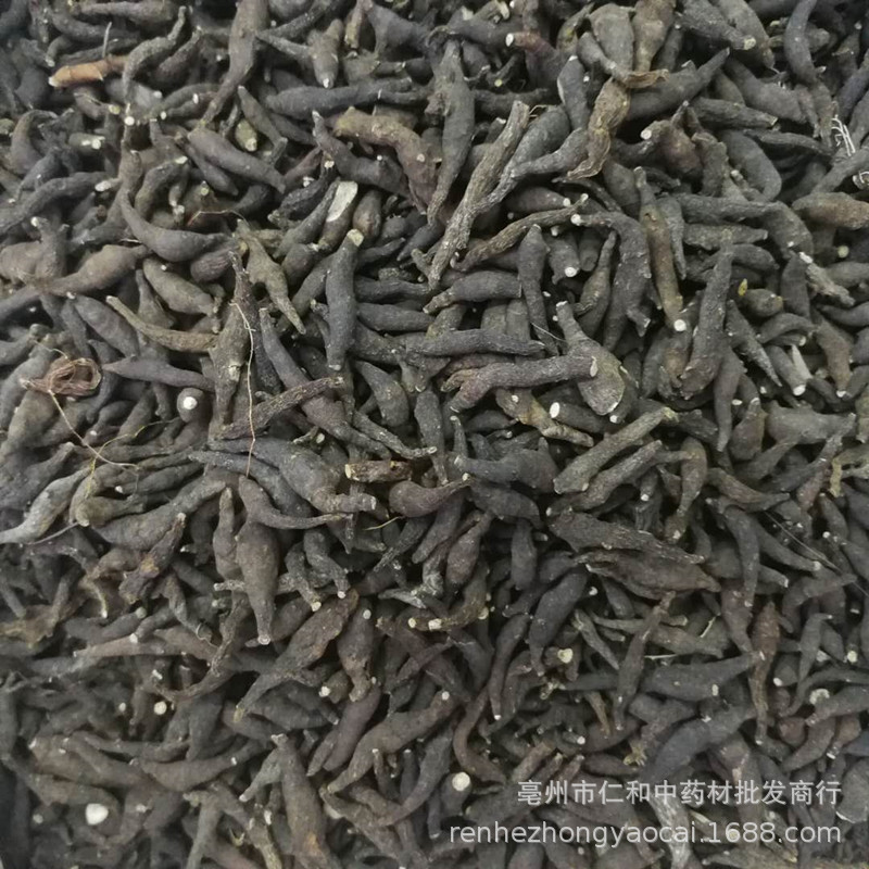 Dried Liang Tou Jian Root 500g Traditional Chinese Herb for Decoction and Herbal Soup - Image 4