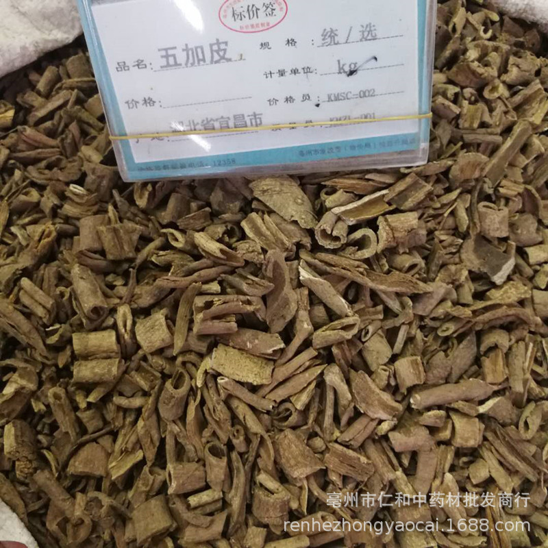 Wu Jia Pi Acanthopanax Bark Dried Herb for Decoction and Culinary Use 500g - Image 4