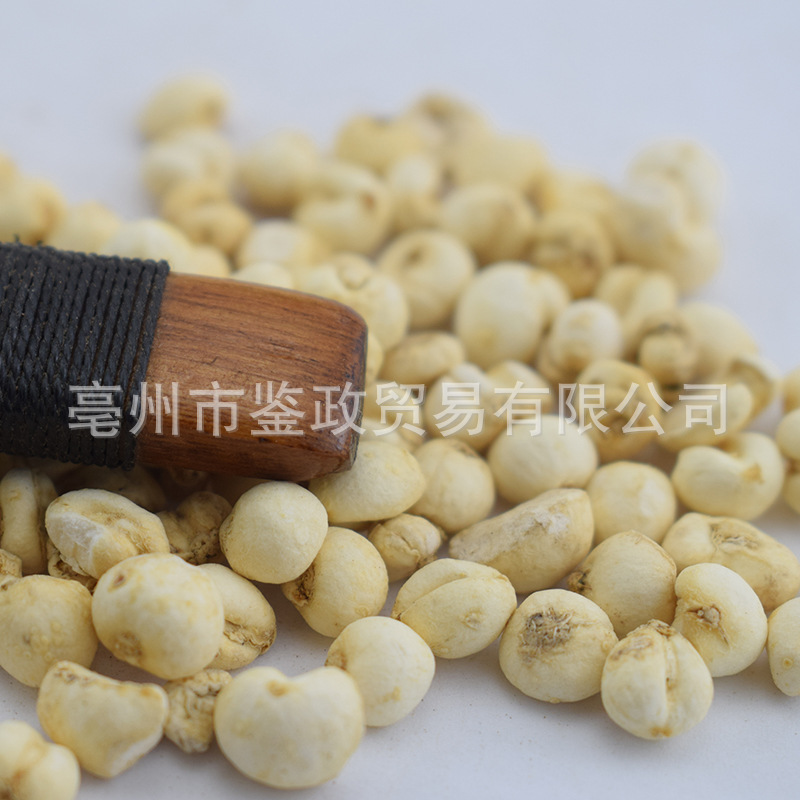 Chuan Bei Mu Fritillaria Bulbs Dried Sichuan Fritillaria Bulbus for Traditional Herbal Decoctions - Image 4