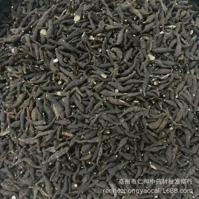 Dried Liang Tou Jian Root 500g Traditional Chinese Herb for Decoction and Herbal Soup - Image 2