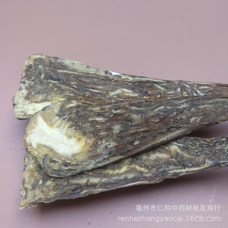 Whole Dang Gui Slices 500g Dried Angelica Sinensis Root for Cooking and Herbal Soup - Image 2