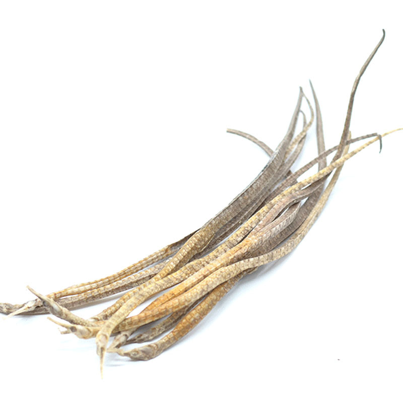 Dried Sea Dragon Hai Long Whole Dried Sea Horse TCM Herb for Herbal Wine and Decoction 500g - Image 5