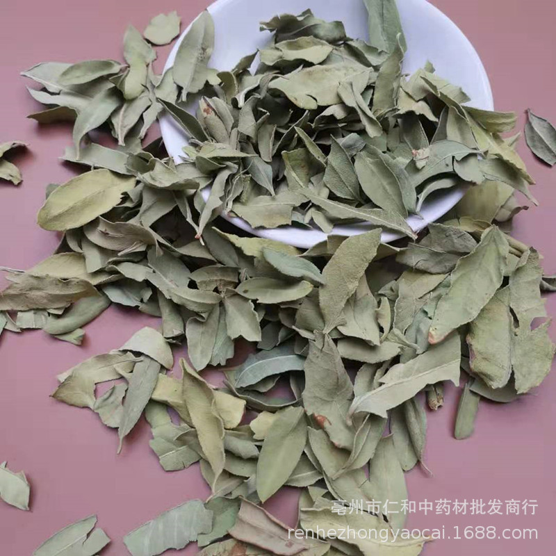 Luo Bu Ma Ye Dried Apocynum Leaves Bulk Loose Leaf Herbal Tea Xinjiang Origin - Image 4