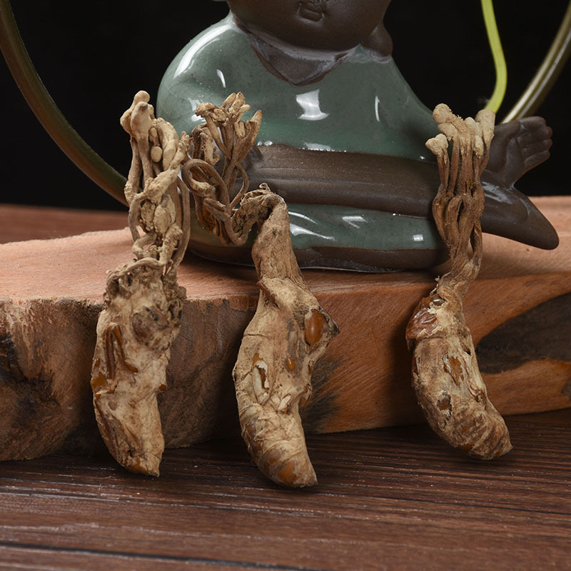 Jin Chan Hua (Isaria cicadae) — Dried Cordyceps Cicadae Fungus, Food-Herb Mushroom for Soups & Teas - Image 3