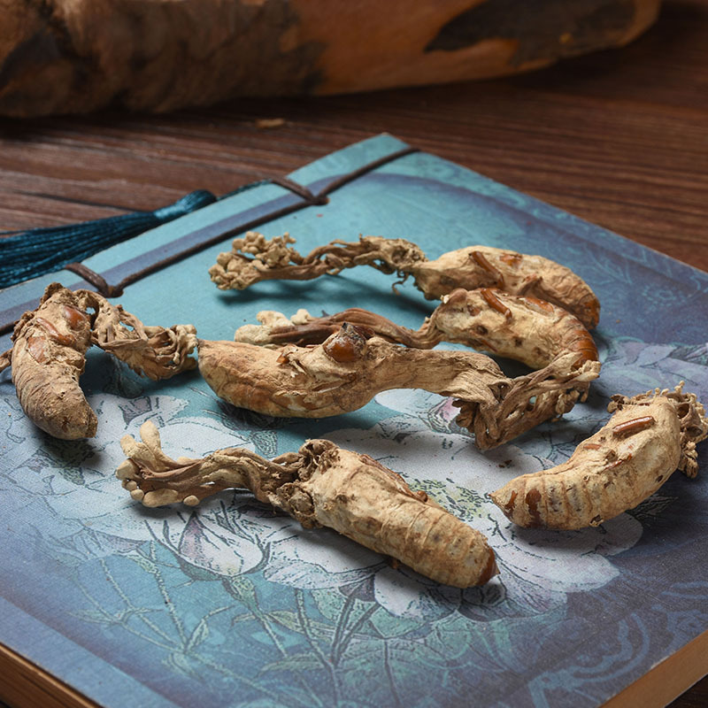 Jin Chan Hua (Isaria cicadae) — Dried Cordyceps Cicadae Fungus, Food-Herb Mushroom for Soups & Teas - Image 4