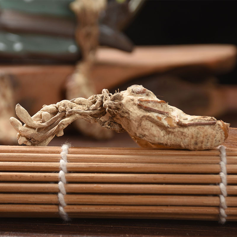 Jin Chan Hua (Isaria cicadae) — Dried Cordyceps Cicadae Fungus, Food-Herb Mushroom for Soups & Teas - Image 2