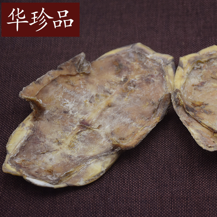 Gui Ban (Plastrum Testudinis) — Dried Turtle Shell Pieces, Whole 500g, Zhejiang Origin - Image 4