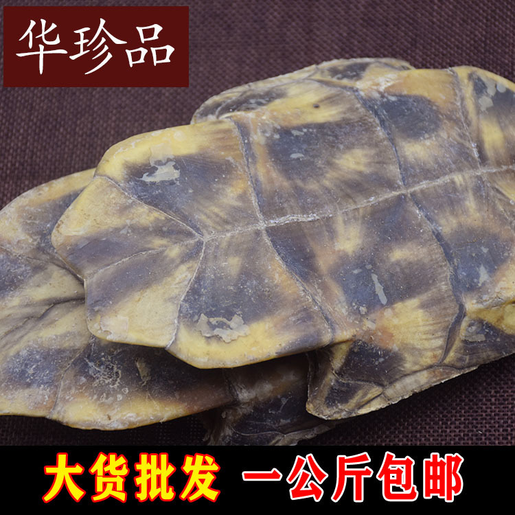 Gui Ban (Plastrum Testudinis) — Dried Turtle Shell Pieces, Whole 500g, Zhejiang Origin - Image 2
