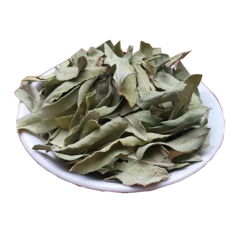 Luo Bu Ma Ye Dried Apocynum Leaves Bulk Loose Leaf Herbal Tea Xinjiang Origin - Image 5