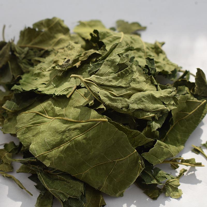 Dried Mulberry Leaves Sang Ye 1kg Bulk Loose Herb for Tea and Decoction - Image 4