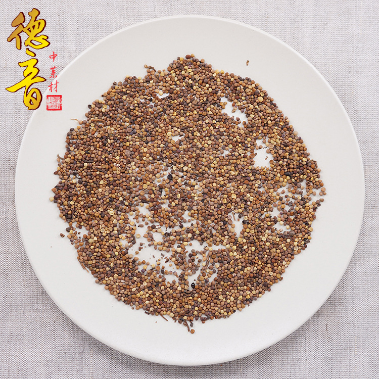 Large Dodder Seed Tu Si Zi 500g Dried Sichuan Herb for Decoction and Tea - Image 4