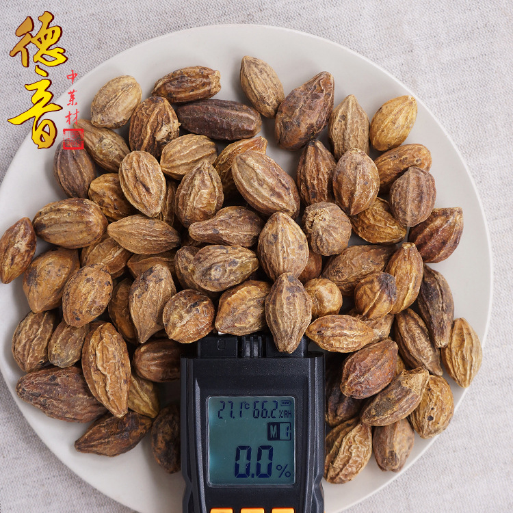 Dried Chebula Fruit He Zi 诃子 Terminalia chebula 500g Traditional Chinese Herb for Decoction and Tea - Image 2