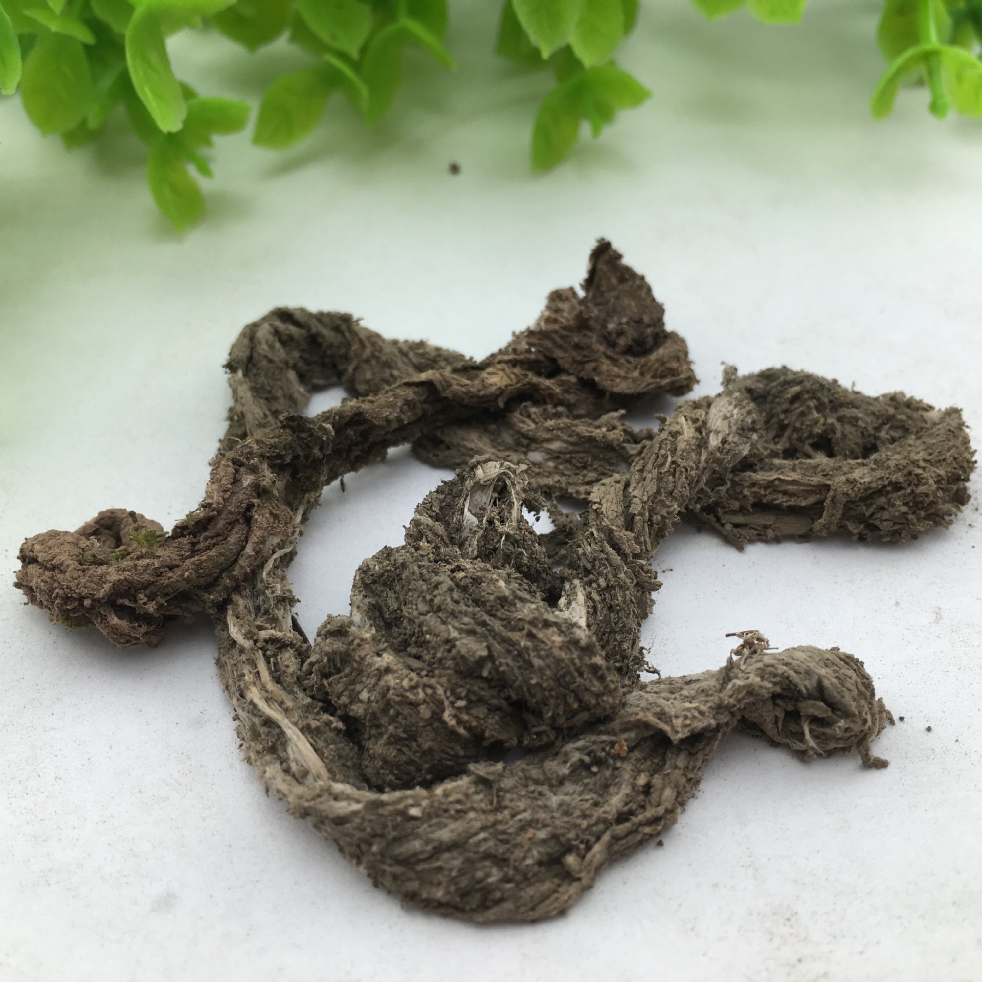 Hui Dou Ba Dried Herb Sichuan Origin Traditional Chinese Herbal Ingredient 1 Jin - Image 5