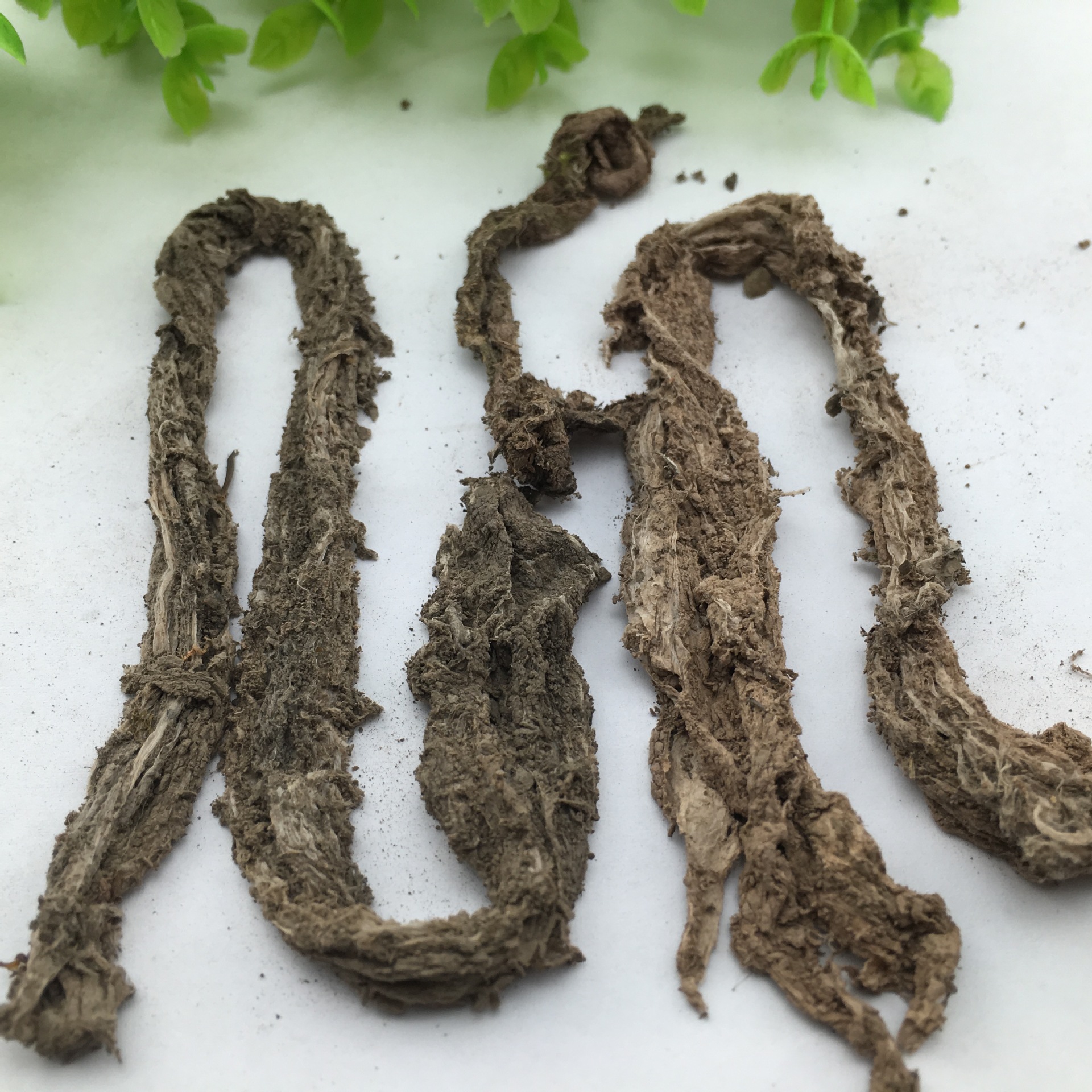 Hui Dou Ba Dried Herb Sichuan Origin Traditional Chinese Herbal Ingredient 1 Jin - Image 4